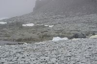 
DSC00165
